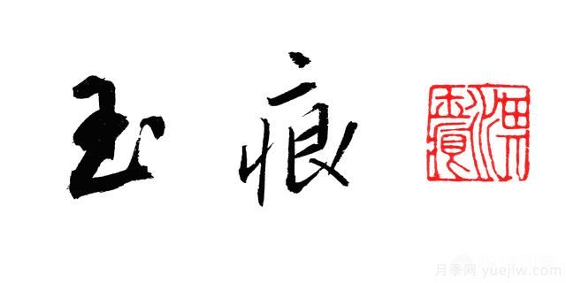 藤本月季的優(yōu)缺點(diǎn)是什么？有哪些？(圖4)