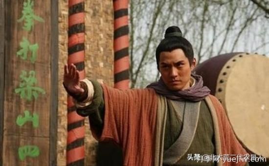 紅玉蘭與白玉蘭如何區(qū)分？(圖7)