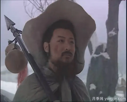 紅玉蘭與白玉蘭如何區(qū)分？(圖9)